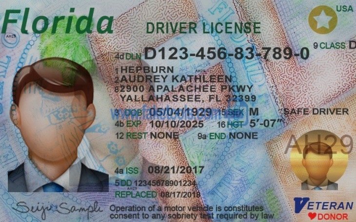 Muestra de licencia de conducir de Florida